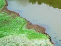 wasserspiele im stausee