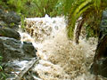  barranco de arure