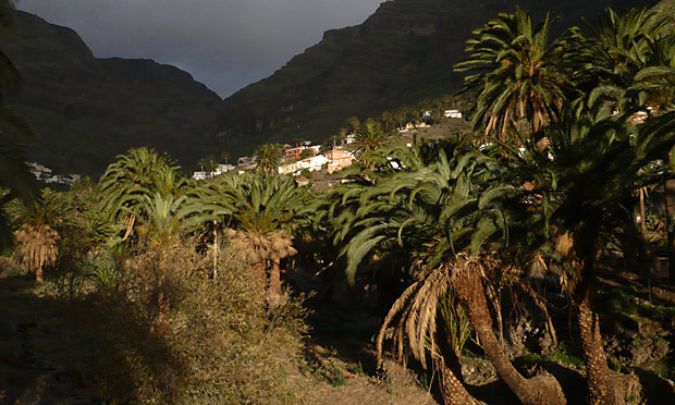 la vizcaina / valle gran rey